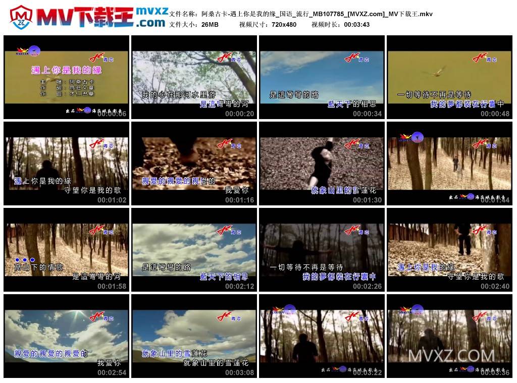 阿桑古卡-遇上你是我的缘_国语_流行_MB107785